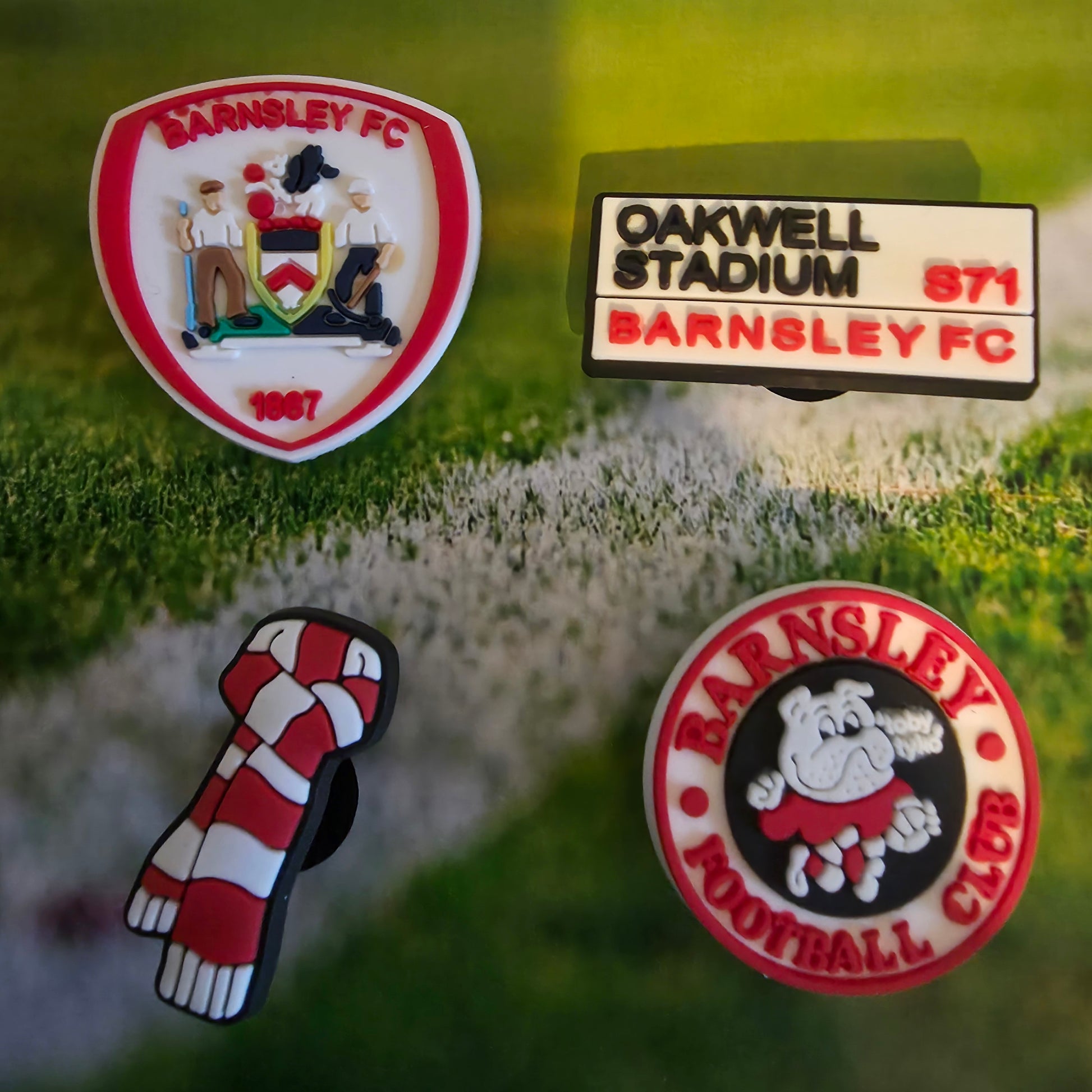 Barnsley Croc Charms set of 4